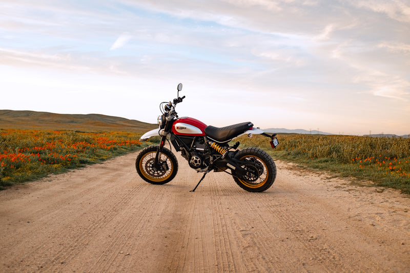 Comparing the Triumph Scrambler vs Ducati Scrambler - Specs, Performance, and More