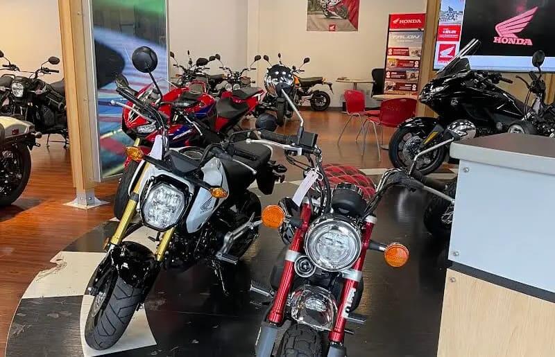 2025 Honda Monkey vs 2026 Grom - Which is Right for You? [Winter 2025 Update]