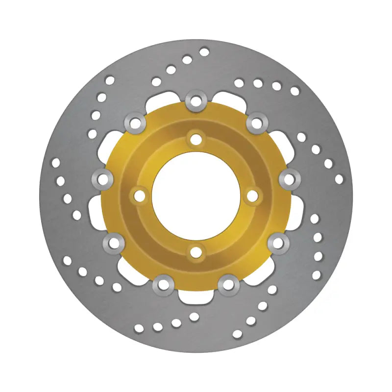 ebc brake rotors for ducati 860 gt gts 1975 1976