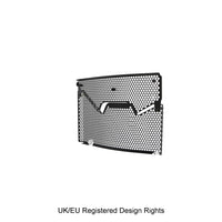 Evotech Performance Radiator Guard BMW F900R 2020-