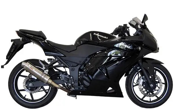 Kawasaki Ninja 250R