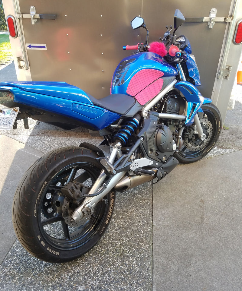 Kawasaki 650R Ermax Seat Cover 1