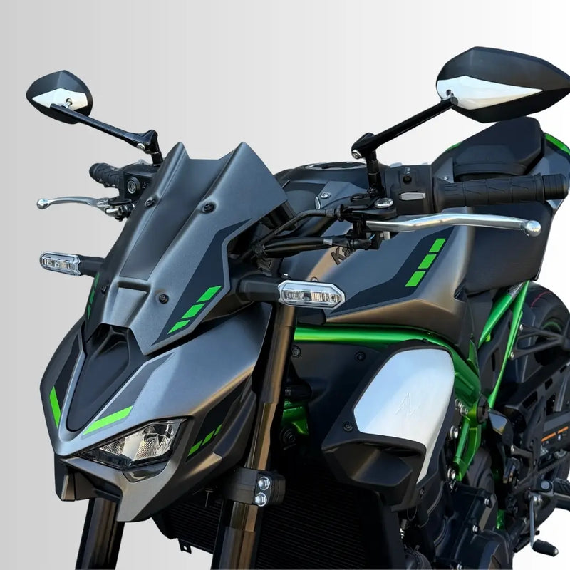 Ermax Nose Fairing Kawasaki Z900 2025-