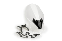 puig naked touring screen bmw f900 r 2020 without original bmw support